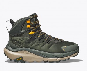 Men's Hoka Kaha 2 Gtx Hiking Shoes Yellow | India-0315