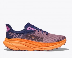 Women's Hoka Challenger 7 Trail Running Shoes Purple | India-2905