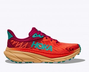 Women's Hoka Challenger 7 Trail Running Shoes Orange / Maroon | India-5970