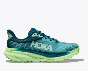 Women's Hoka Challenger 7 Trail Running Shoes White / Light Green | India-8503